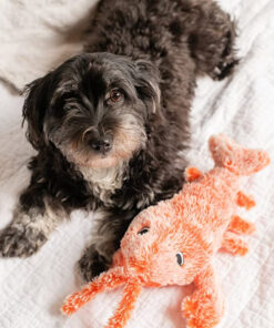 Alternative view of 49% OFFFloppy Lobster Interactive Dog Toy