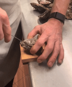 Alternative view of Oyster Shucking Clamp